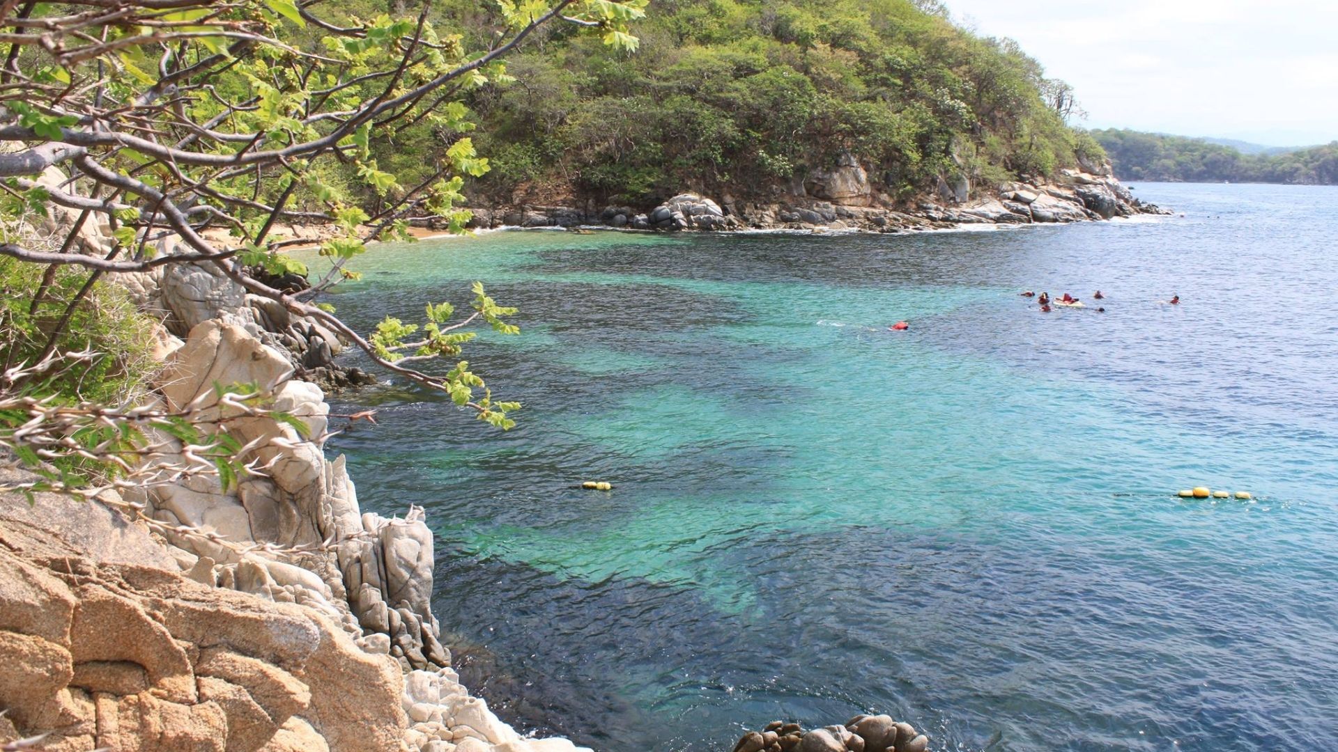 Snorkel En Bah As De Huatulco Ruta Mx