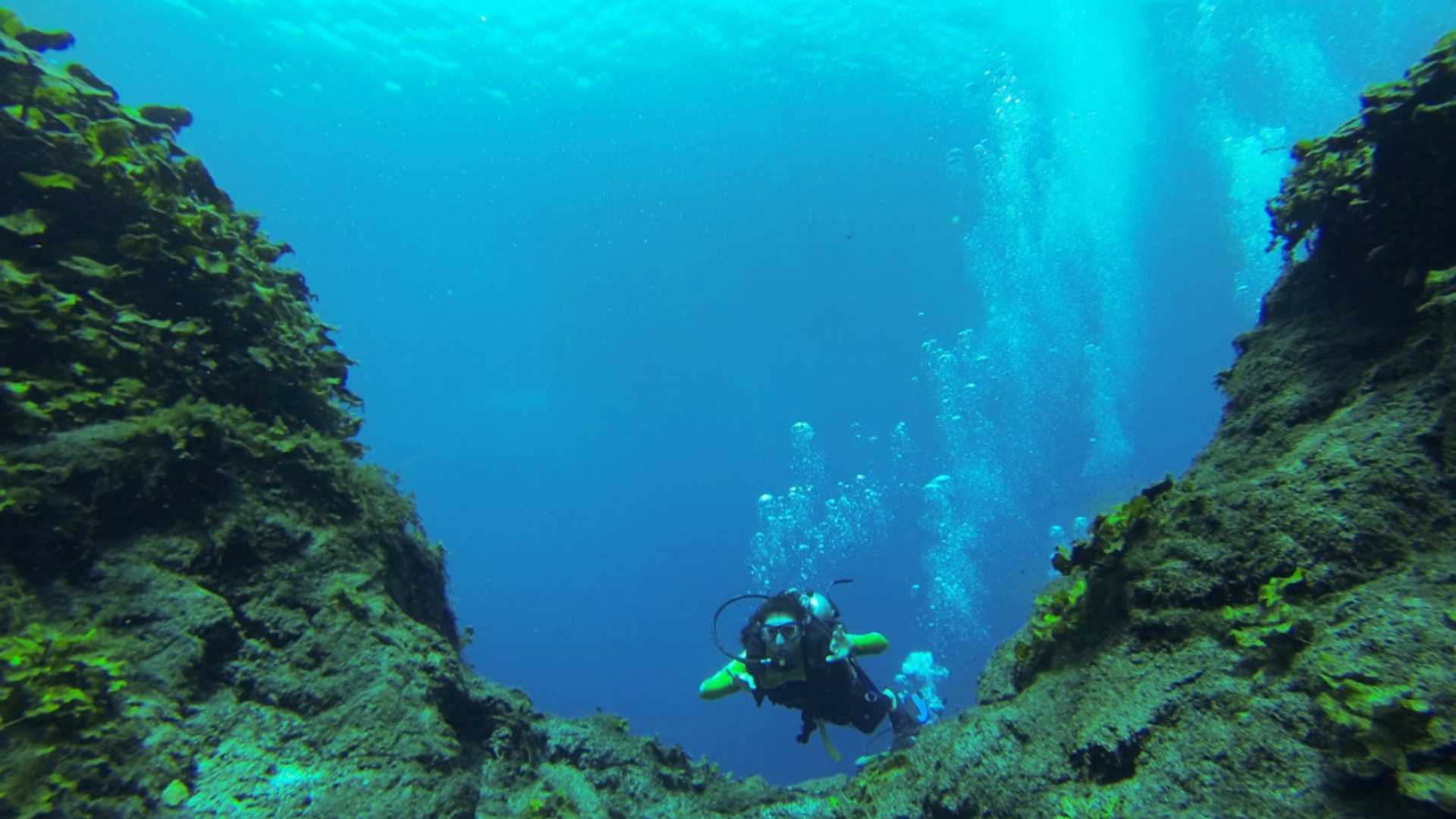 Maravillas submarinas: El increíble mundo del buceo en México