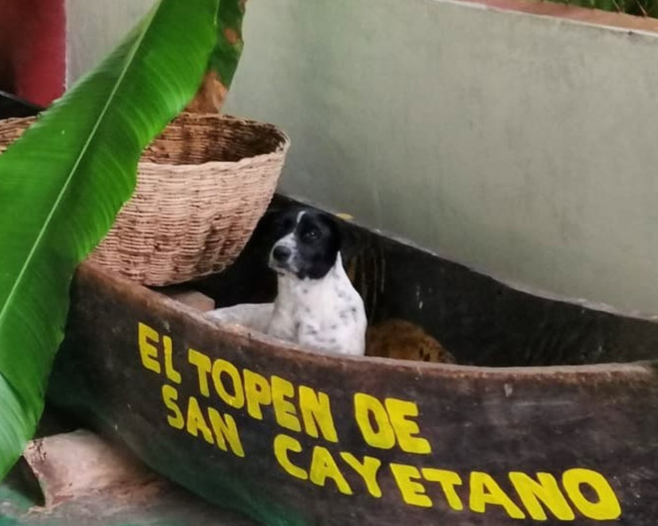 Ruta del Cacao 3 haciendas, 2 días 1 noche