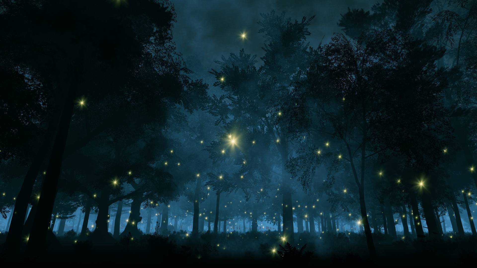 Ruta Bosque de las Luciérnagas Julio 11-12