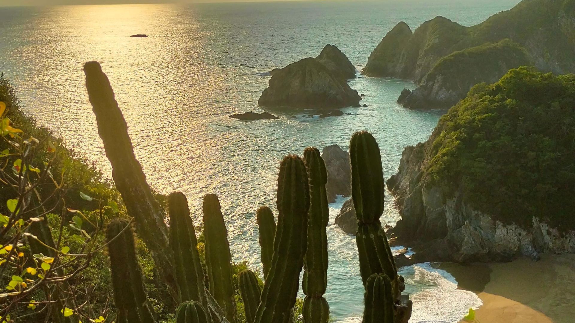 Ruta Costalegre, Bioluminiscencia & ballenas 31ene-02 feb