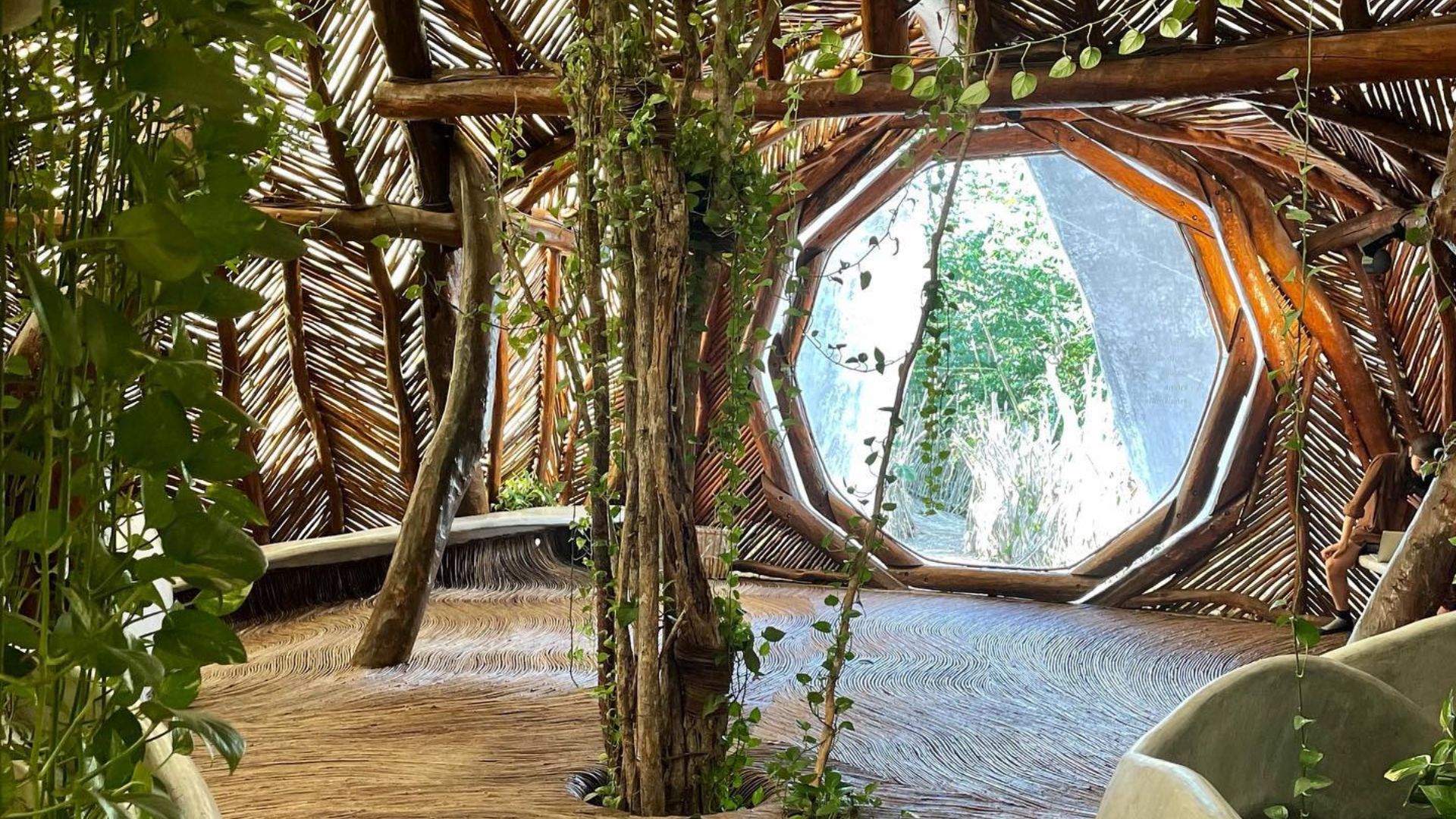 Tour Cenote Taak Bi ha & Museo Azulik