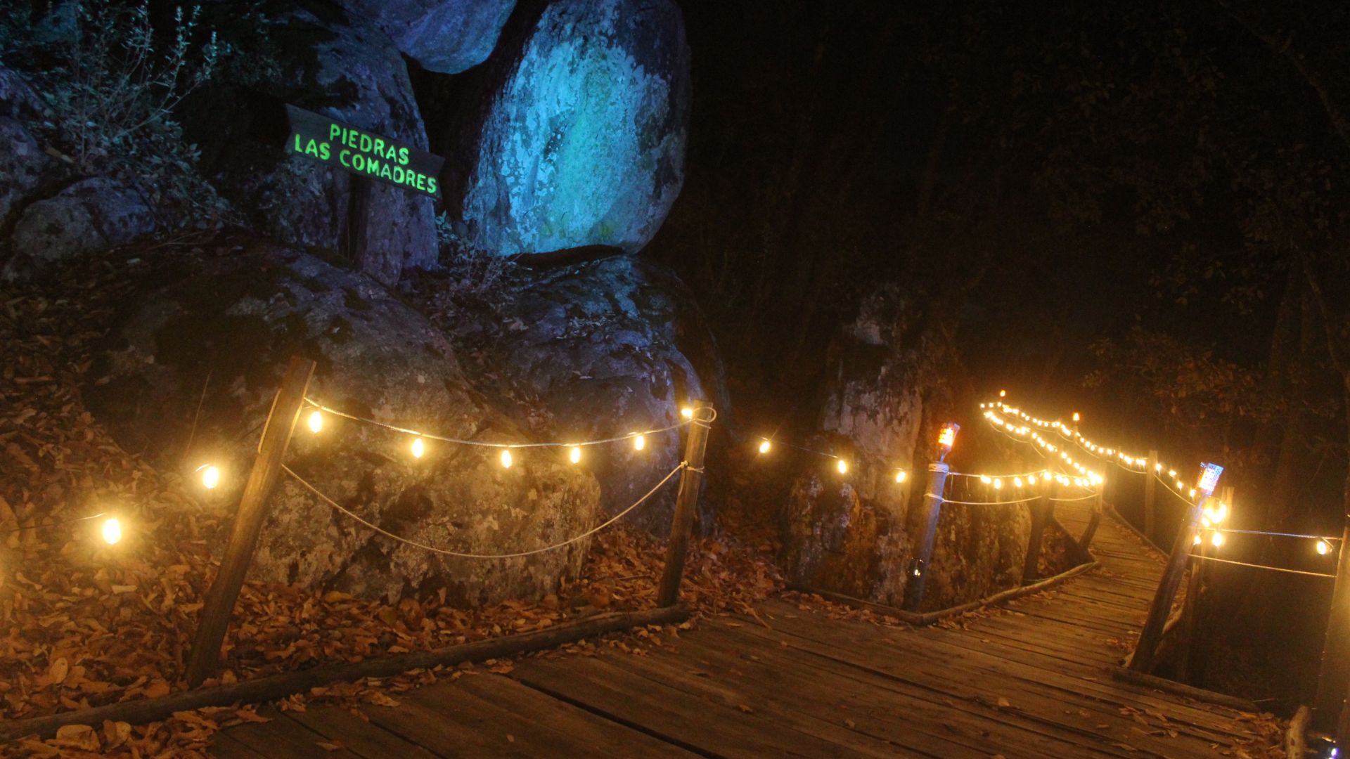Excursión escolar Sierra de Quila Puentes iluminados y sendero neón desde Guadalajara