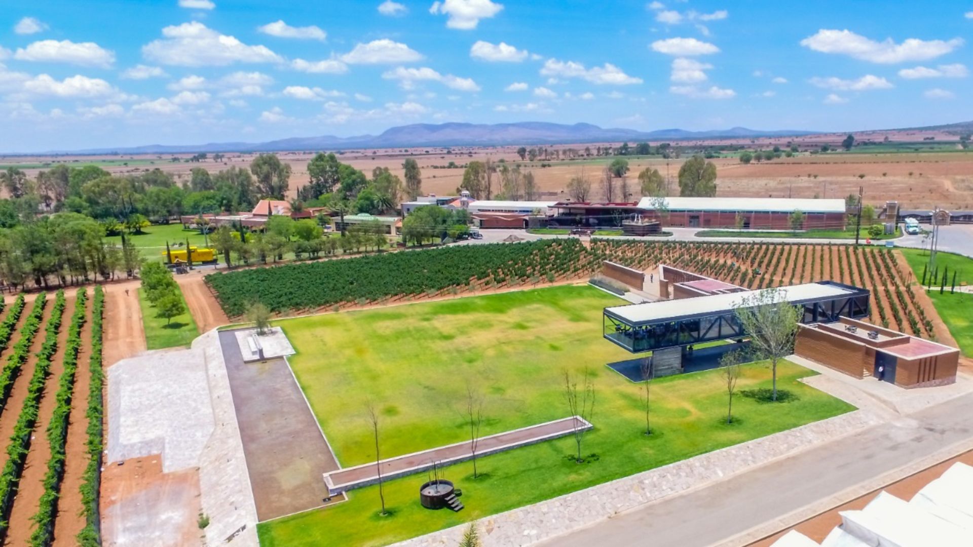 Ruta vinícola en Zacatecas